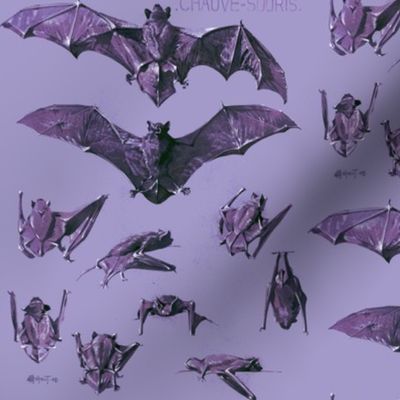 vintage bats purple