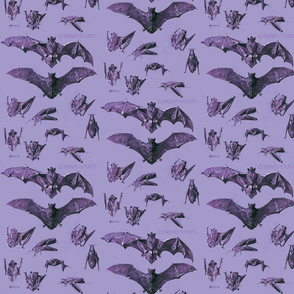 vintage bats purple