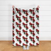 Redoute Roses ~ Riot of Red Jumble ~ Medium-ish