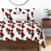 Redoute Roses ~ Riot of Red Jumble ~ Medium-ish