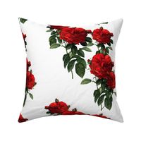 Redoute Roses ~ Riot of Red Jumble ~ Medium-ish