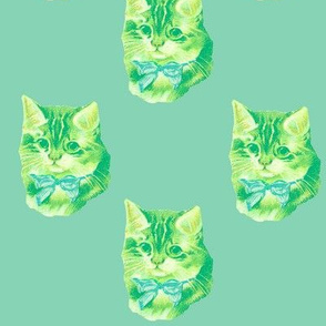 Kitten Dot in greenish