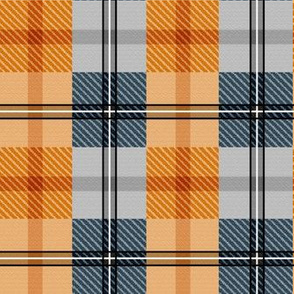 gingham plaid - fox run 4