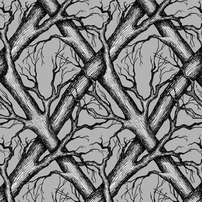 Branches - bare