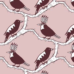thorn birds pink purple 