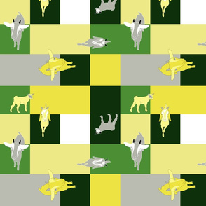 Goats and squares