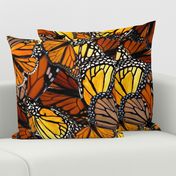 Australian_Wanderer_Butterflies_by_melanie_j_cook