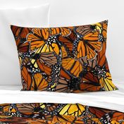 Australian_Wanderer_Butterflies_by_melanie_j_cook