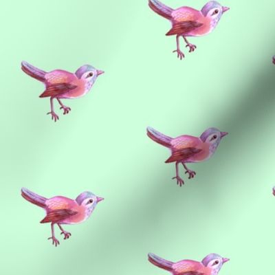 Bird_Pink_on_Mint