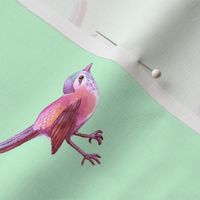 Bird_Pink_on_Mint