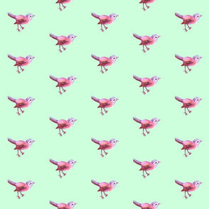 Bird_Pink_on_Mint