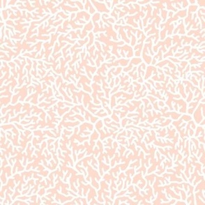 CORAL Soft Peach