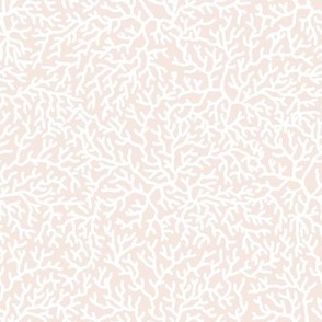 CORAL Vanilla // standard