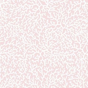 CORAL Pale Pink // standard