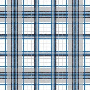 Flannel Plaid ~ Dormitory 