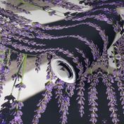 Lavender 1413