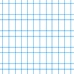 aqua plaid on white