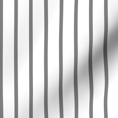tiny 6-string  pinstripe - thick black and white  (1/4" stripe sets are once every inch)