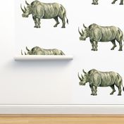 Rhino!