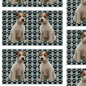 Jack Russell creations