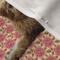 goldendoodle_and_roses