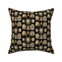 Ernst Haeckel Echinidea Fabric