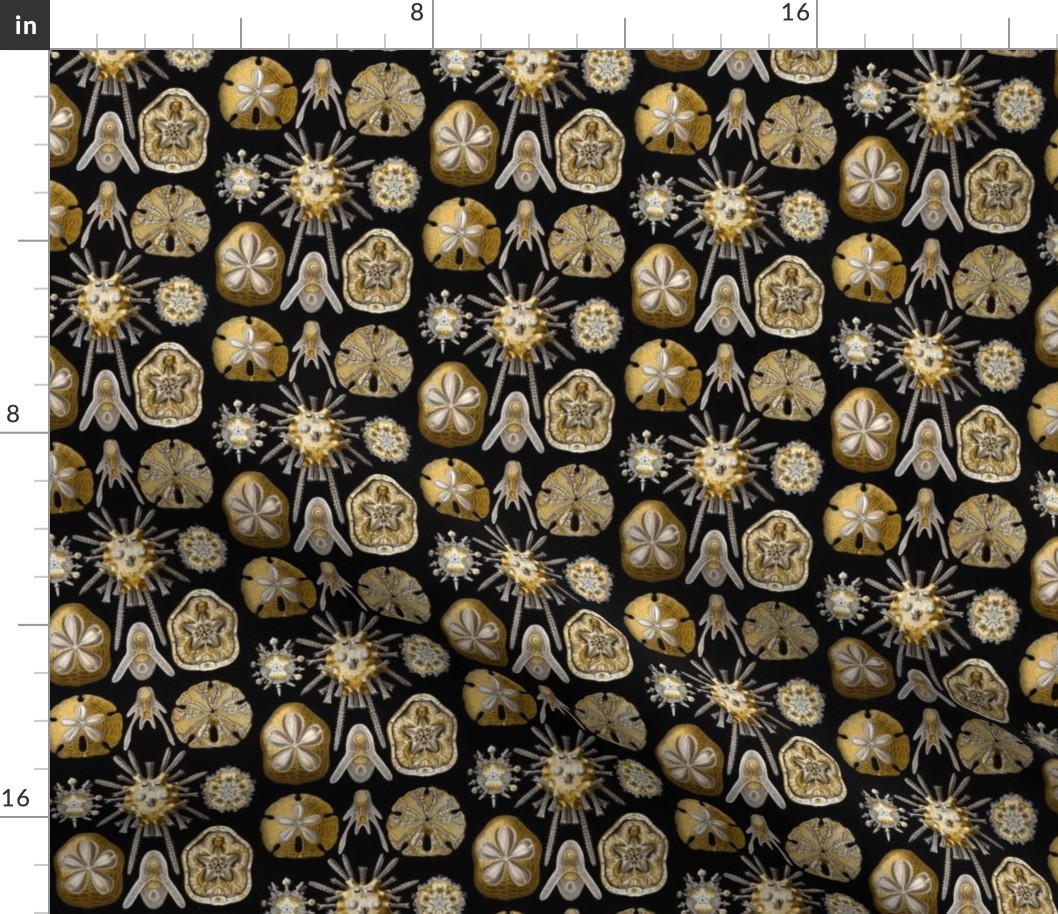 Ernst Haeckel Echinidea Fabric