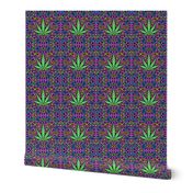 Sweet Leaf Color- Medium