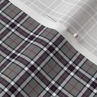 Thomson / Thompson mini tartan, 1" grey