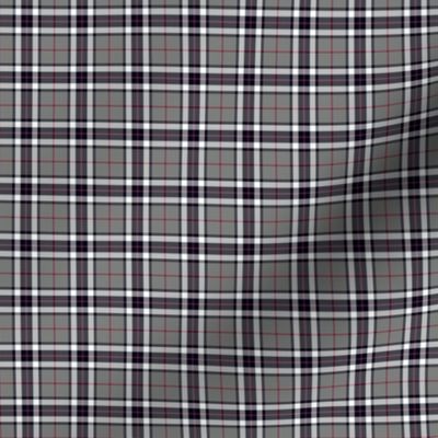 Thomson / Thompson mini tartan, 1" grey