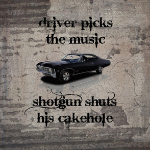 Driver_Picks_the_Music