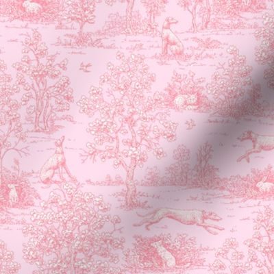 Light Pink Reverse Greyhound Toile