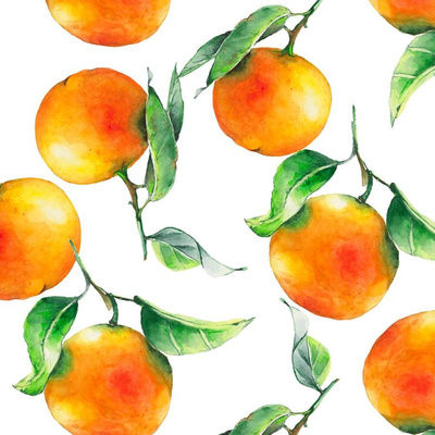 Watercolor Oranges Fabric, Wallpaper and Home Decor | Spoonflower