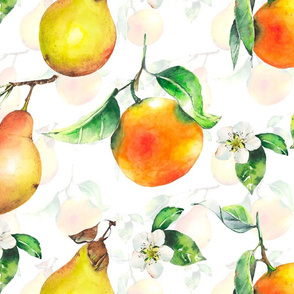 Oranges and pears watercolor