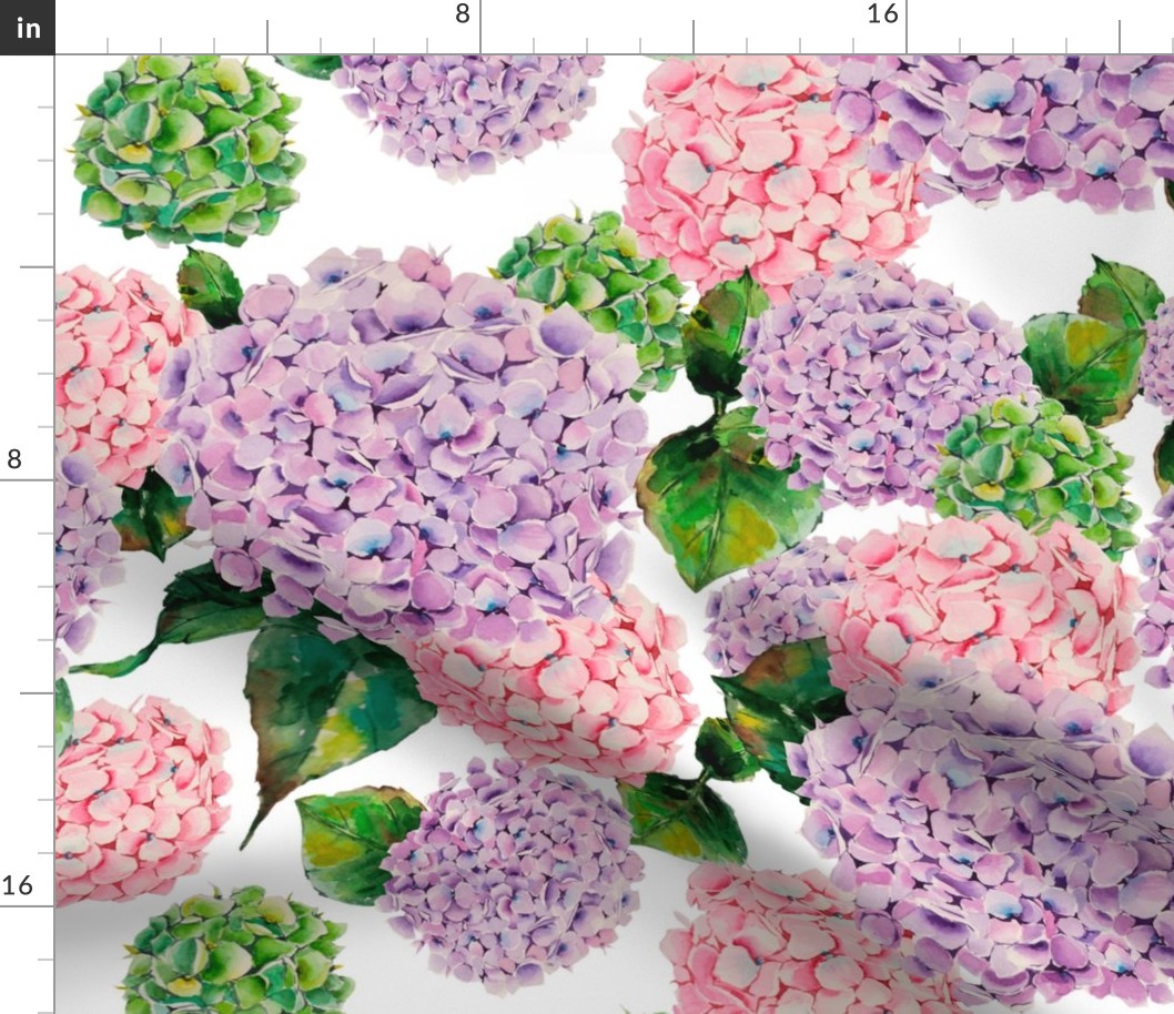 Watercolor hydrangeas