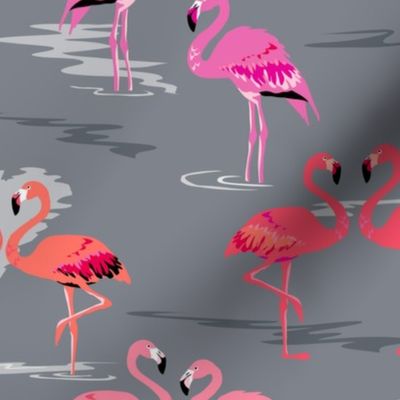 flamingos love grey