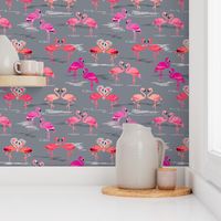 flamingos love grey