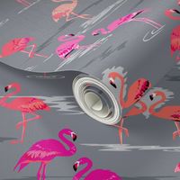 flamingos love grey