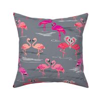 flamingos love grey