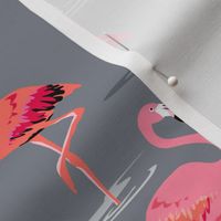 flamingos love grey