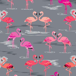 flamingos love grey