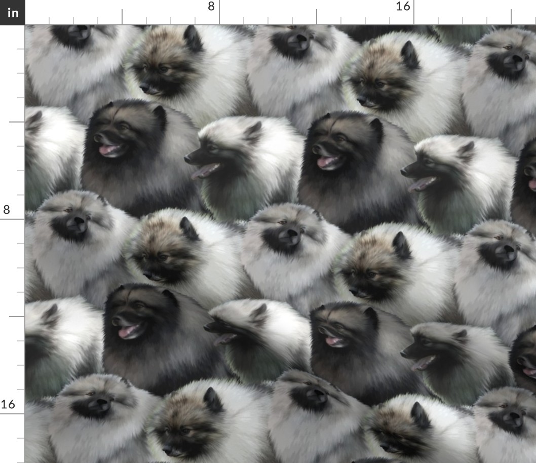 Keeshond faces