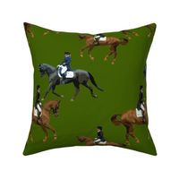 Carriage Trade Dressage Olive
