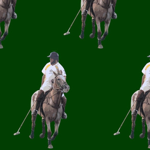 Carriage Trade Polo Hunter