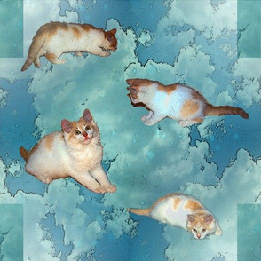 Cloudy with a chance of kittens