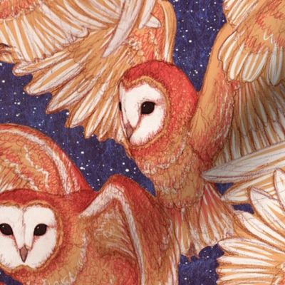 Barn Owls (Night)