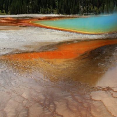 Yellowstone - Grand Prismatic Spring on Fat Quarter