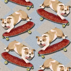 Skateboarding Bulldog