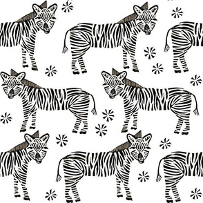 Safari Zebra - Black and White by Andrea Lauren