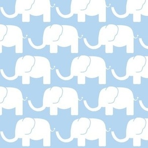 Baby blue  elephant